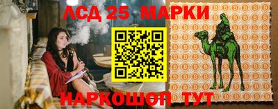 spice Малгобек